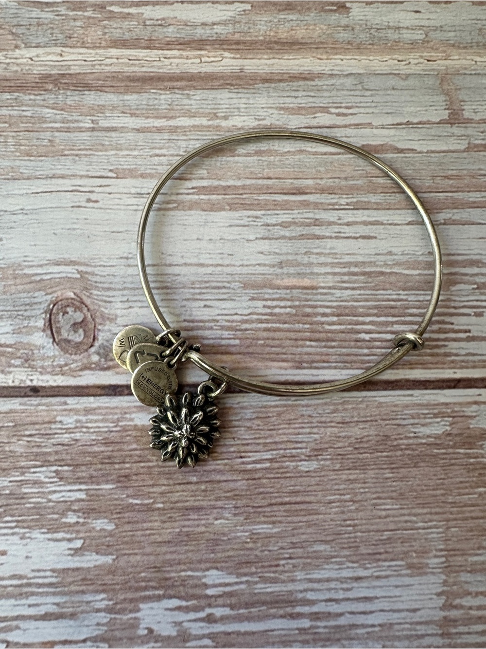 Alex and Ani Silver Flower Charm Expandable Bangle Bracelet